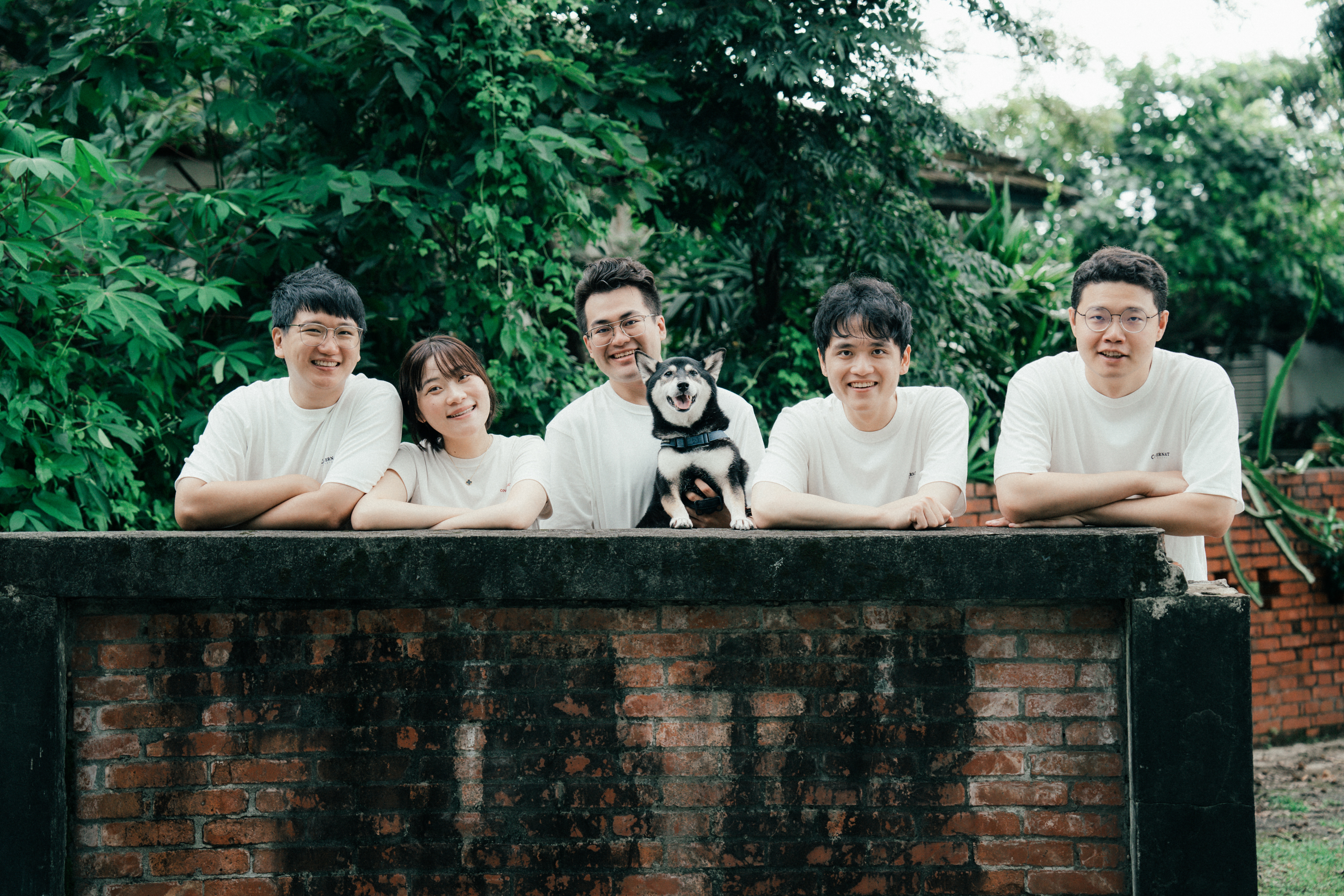 在公園草地上